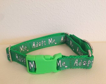 May include: Green dog collar with a silver buckle and the text "Adopt Me" repeated around the collar in white.