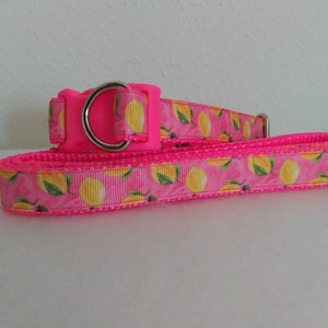 Fruit and Candy Themed Belly Bands and Matching Leashes for Capuchin Monkeys, Handcrafted in USA