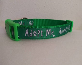 Irene's Special "Adopt Me" Buckle  Collar, Large Buckle Collar, for Rescue, Shelter and Foster Dogs, Handcrafted in USA