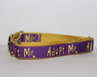 Irene's Special "Adopt Me" Collar, Medium Martingale Collar, for Rescue, Shelter and Foster Dogs, Handcrafted in USA