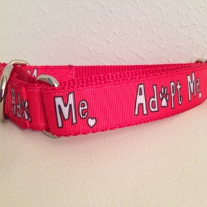 May include: Red dog collar with white text that says "Adopt Me" and a paw print. The collar also has a small white heart and the word "Me" on it.