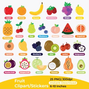 Clipart owoców, naklejki cyfrowe ikony kreskówka słodkie proste | jedzenie | PNG | 300dpi | natychmiastowe pobranie