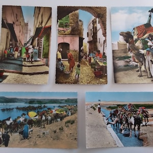 lot 5 Cartes postales Scènes et types "Quartier Arabe, un bassour ..." anciennes 1930 / 1940