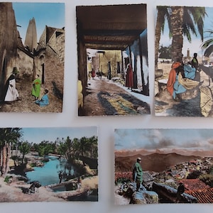 lot 5 Cartes postales Scènes et types "Village Kabyle, Palmiers Dattiers, la rue de la Mosquée ..." anciennes 1930 / 1940
