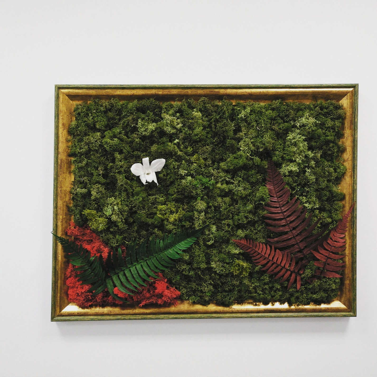 Cuadro de musgo preservado con orquídea . Moss art Etsy España
