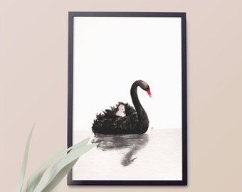 Printable Nursery Wall Art Black Swan Print