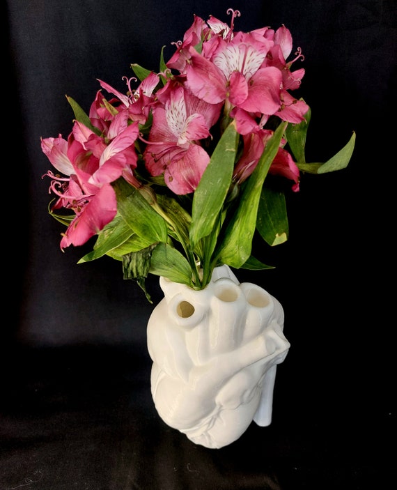 Heart Vase, Decor Anatomical Heart-Shaped, Modern Heart-Shaped vase Creative Home Gift Decoration, Doctor's office decor