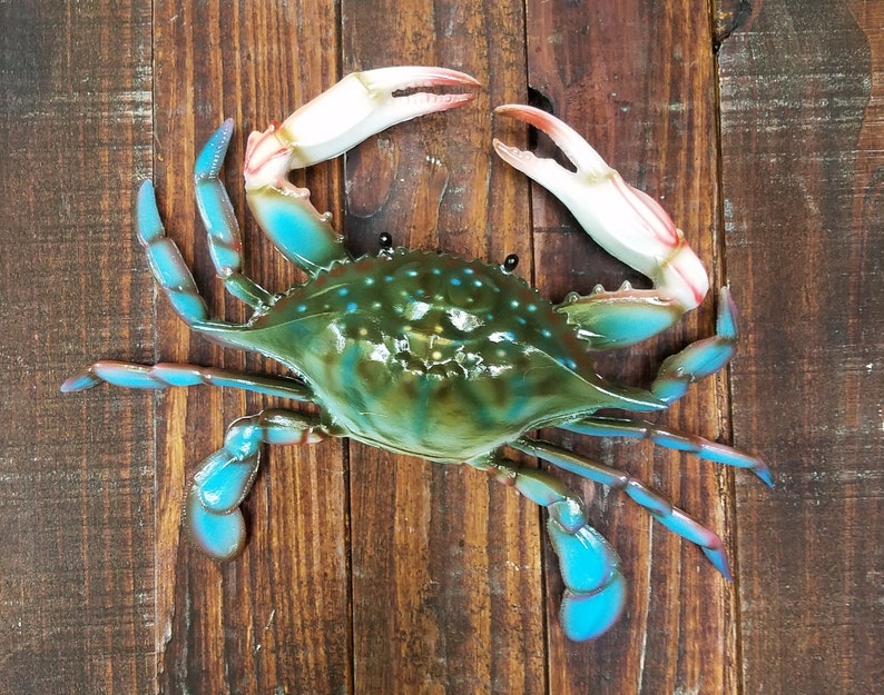 Blue Crab Maryland Coastal Wall Replica Decor *choose Your Set* (med 9.25