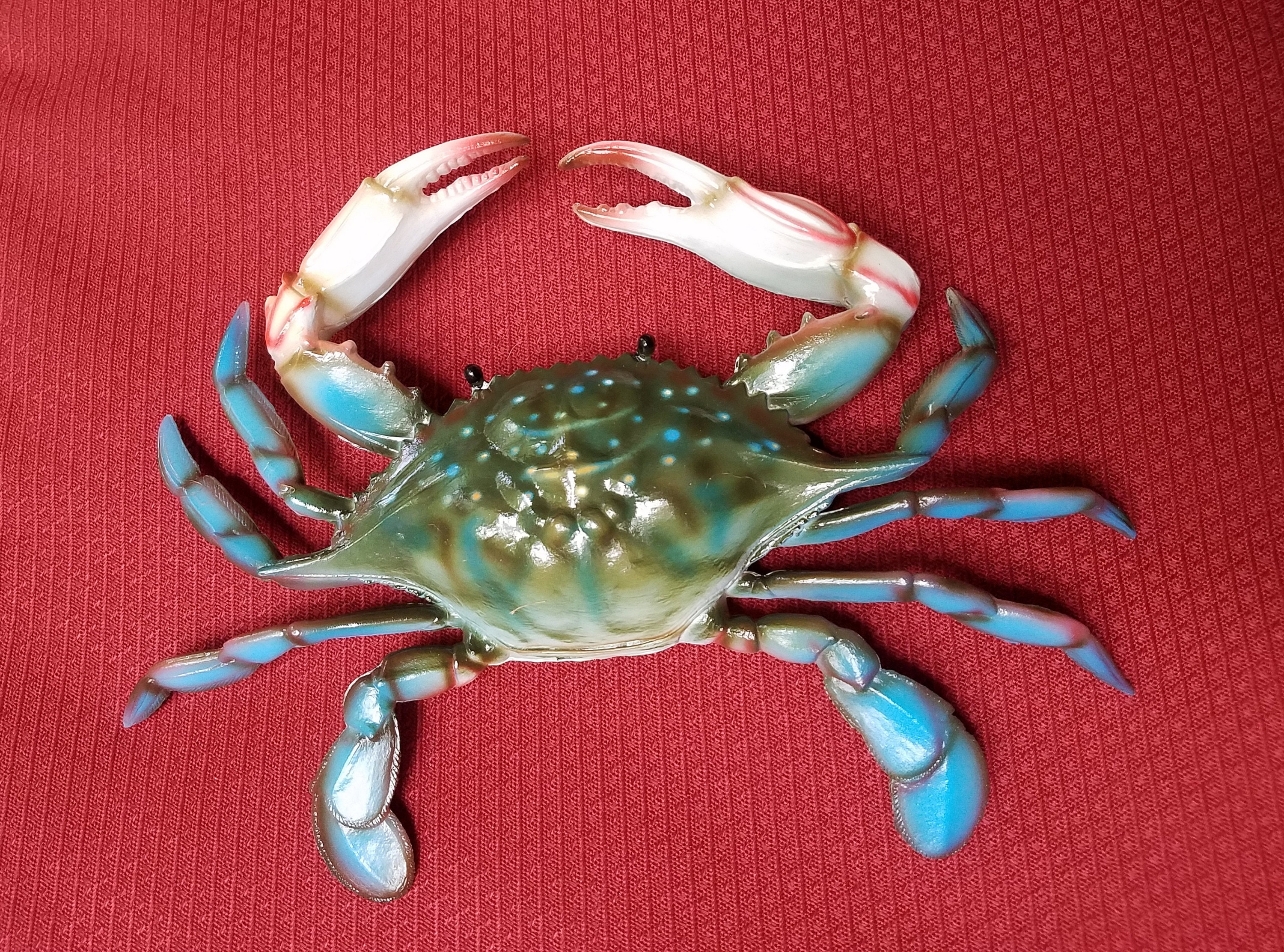 Blue Crab on New England Red Hat main image 0