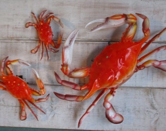 May include: Three orange and white crabs with detailed claws and legs. The crabs are arranged on a white wooden surface.