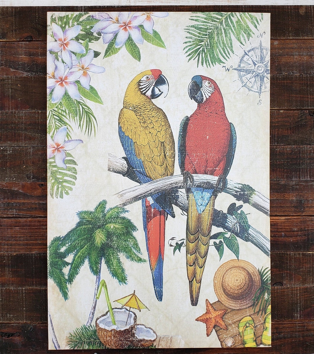 Picture of Macaw Bird CANVAS, Paradise, Parrot, Macaw, Margaritaville, Tropical ...
