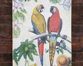 May include: A vintage-style illustration of two parrots perched on a branch with tropical foliage and a compass in the background. The parrots are a yellow and blue macaw and a red and blue macaw. The illustration is on a cream-coloured background.