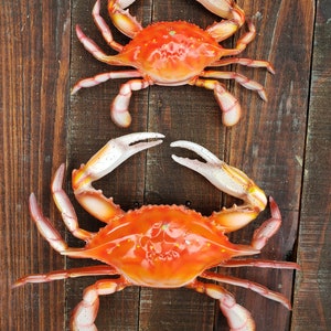 Bushel of Crabs 
