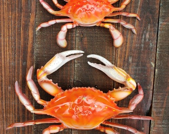 Red Crab Maryland steamed Coastal wall replica decor *choose your set* (Med 9.25&quot;)  (Sm 6&quot;) hand-painted 3D