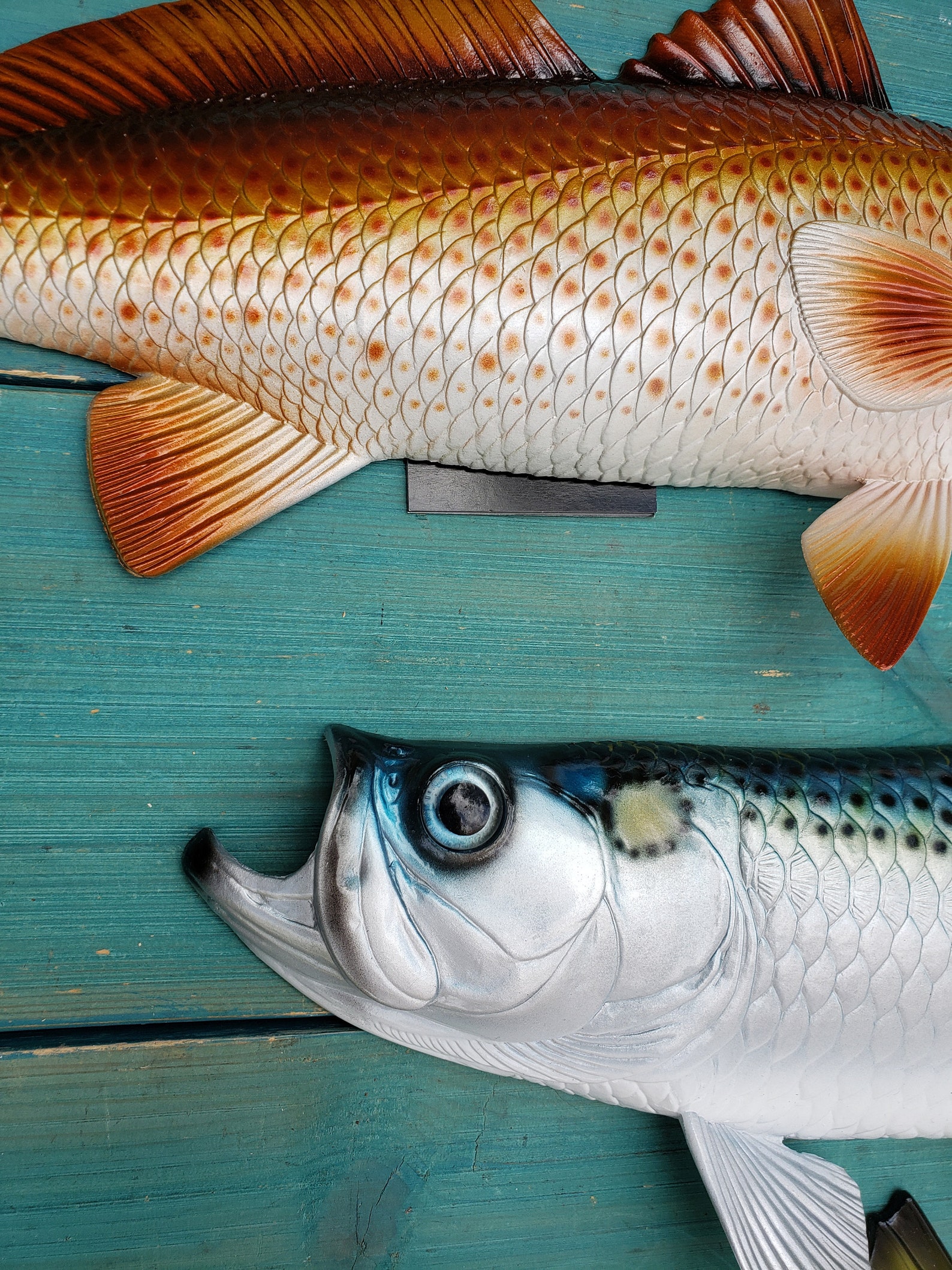 Full-body Tarpon Fish In Side Swim Pose With Large Scales And Fins - View #4