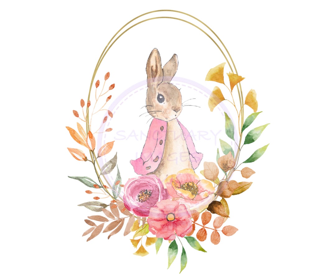 Peter Rabbit Flopsy Bunny PNG, Animal Sublimation Design, Flopsy PNG ...