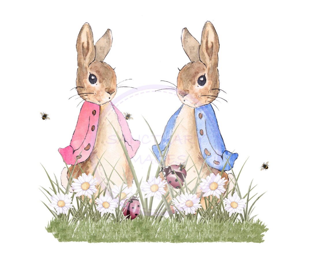 Peter and Flopsy PNG, Animal Sublimation Design, Peter Rabbit & Flopsy ...