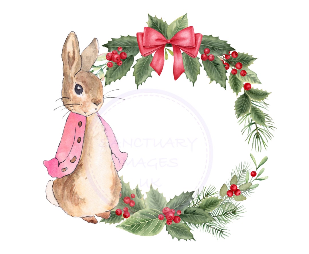 Peter Rabbit, Flopsy Bunny PNG, Animal Sublimation Design, Flopsy PNG ...