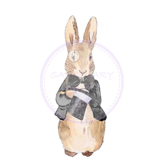 Peter Rabbit Flopsy Bunny PNG Animal Sublimation Design | Etsy