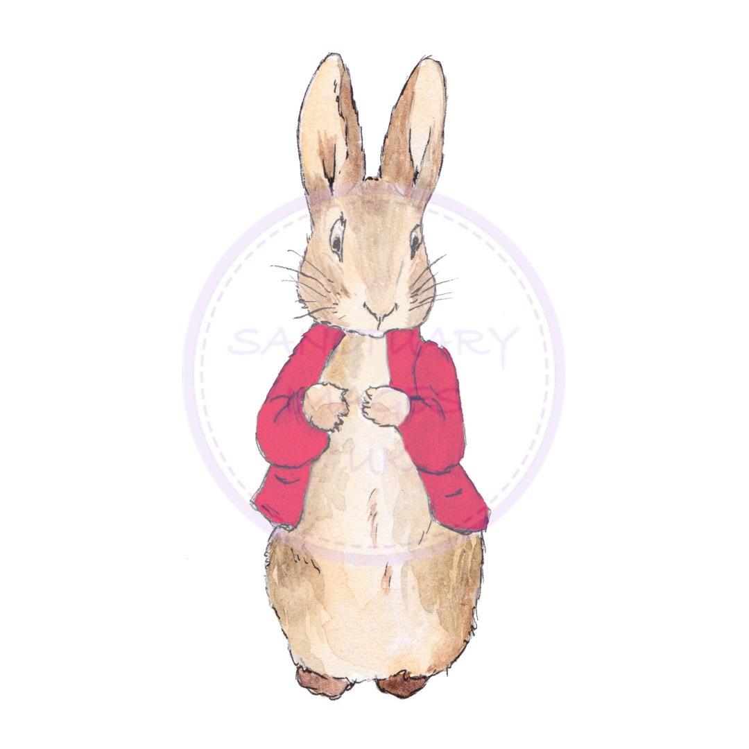 Peter Rabbit Flopsy Bunny PNG, Animal Sublimation Design, Flopsy PNG ...