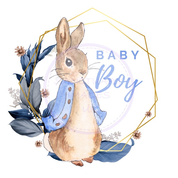Peter Rabbit Clipart - Etsy