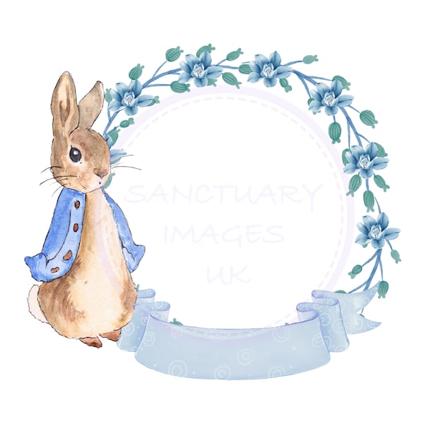 Blank ( add your own letters) Peter Rabbit, Flopsy Bunny PNG, Animal Sublimation Design, Peter Rabbit PNG, Instant Digital Download