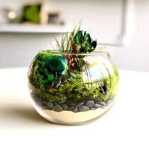 DIY Terrarium Kit, Glass Terrarium, Terrarium Moss Kit, Christmas Gift, Birthday Gift, Team Building, Plant Terrarium Kit, Unique Gift