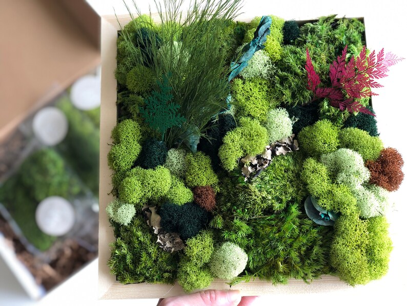DIY Moss Art Kit, Holiday Gift, Christmas Gift, DIY Moss Art, Unique Colorful Moss Wall Art, Birthday Gift, DIY Craft Kit For Adults Teens 