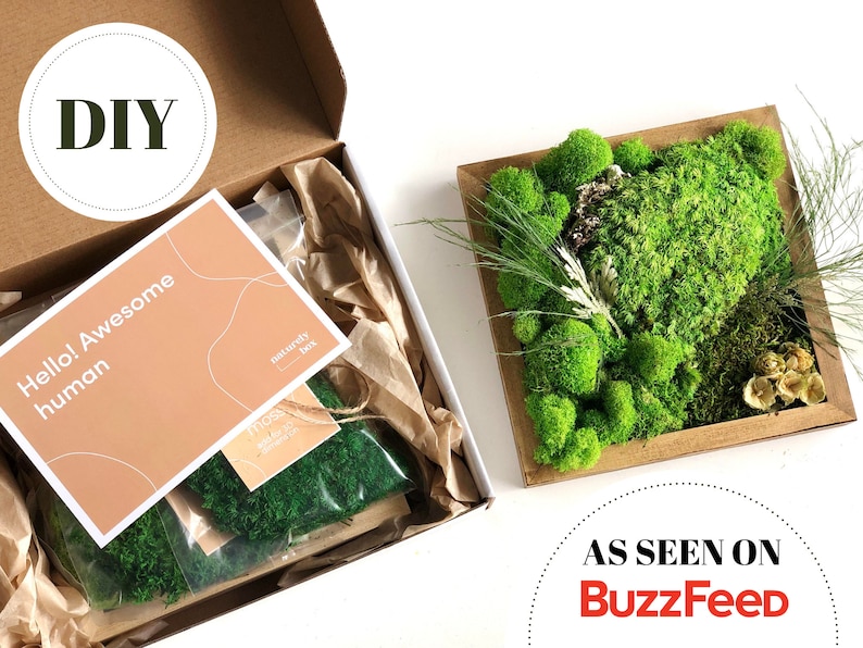 DIY Moss Wall Art Kit Holiday Gift Christmas Gift Make Your Etsy