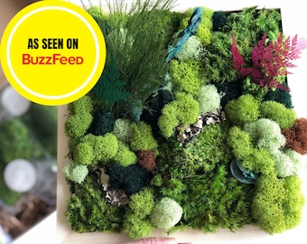 DIY Moss Art Kit, Holiday Gift, Unique Gift Box, DIY Moss Art, Unique Christmas Gift Box, Birthday Gift, DIY Craft Kit For Her Him
