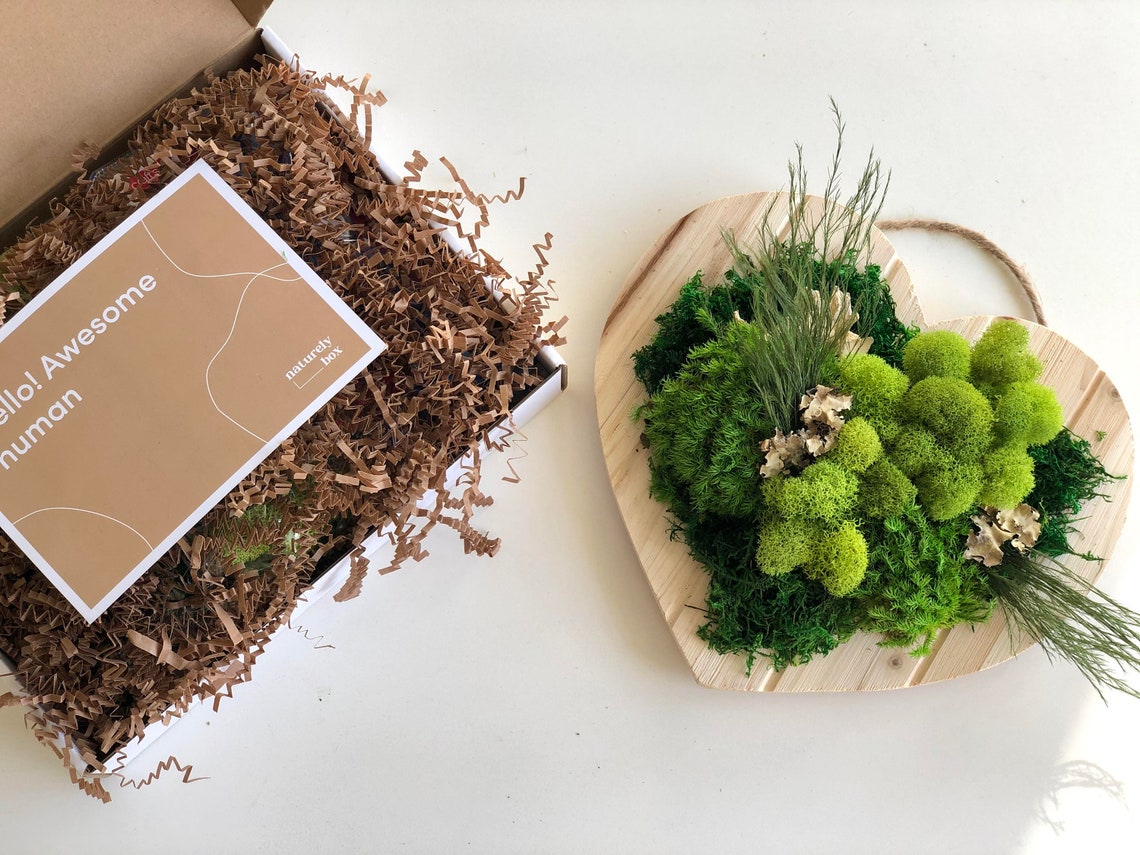 DIY Moss Art Kit Birthday Kit Moss Art Frame DIY Gift | Etsy