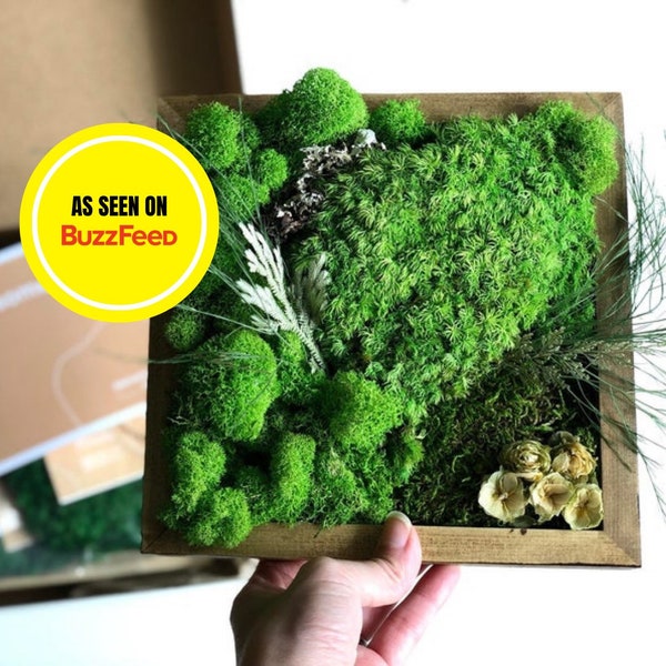 DIY Moss Wall Art Kit, Holiday Gift, Gift for Her Him, Make Your Own Moss Art, Preserved Moss Art, Birthday Gift, Unique Christmas Gift Box