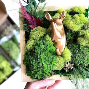DIY Animal Moss Art Kit, DIY Home Decor, Moss Wall Art, Wooden Framed Wall Hanging, Nature Lover Gift, Unique Gift, Birthday Gift Box