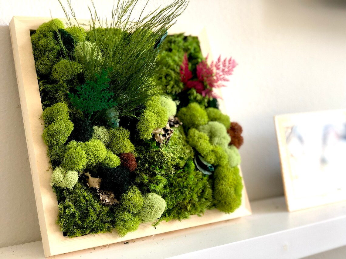 DIY Moss Art Kit Holiday Gift Unique Gift DIY Moss Art Etsy