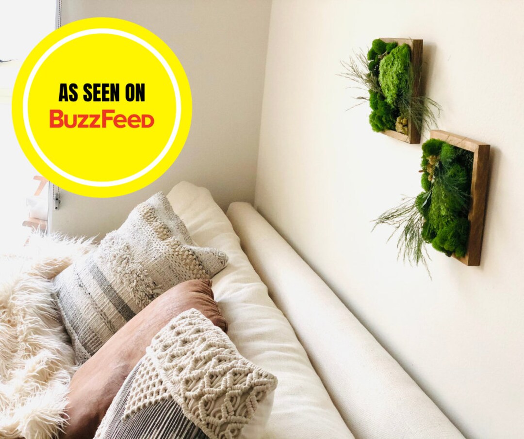 DIY Moss Art Kit, 2 Piece Moss Wall Art, Birthday Gift Box, DIY Plant