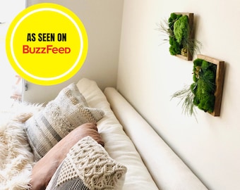 DIY Moss Art Kit, 2 Piece Moss Wall Art, Birthday Gift Box, DIY Plant Kits, Preserved Moss Art, Craft Kit for Kids, Unique Gift