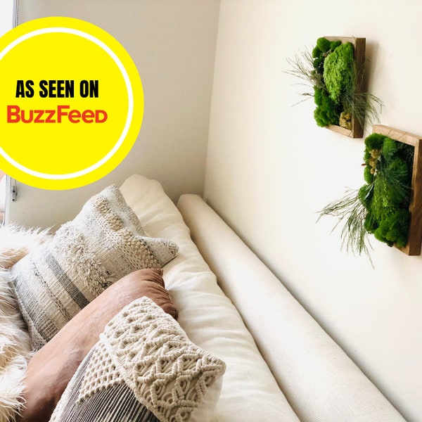 DIY Moss Art Kit, 2 Piece Moss Wall Art, Birthday Gift Box, DIY Plant Kits, Preserved Moss Art, Craft Kit for Kids, Unique Gift