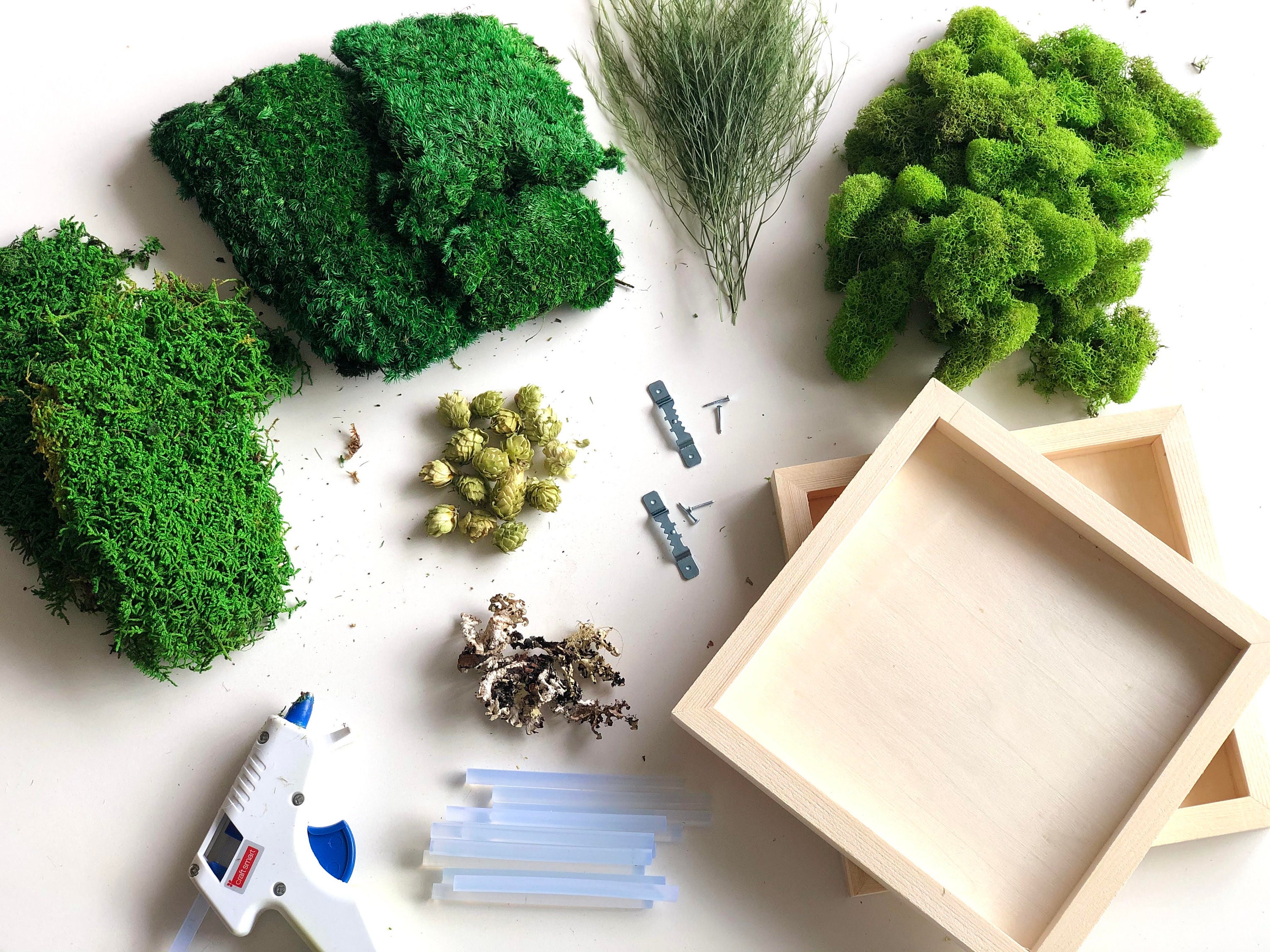 DIY Moss Art Kit 2 Piece Moss Wall Art Birthday Gift DIY Etsy