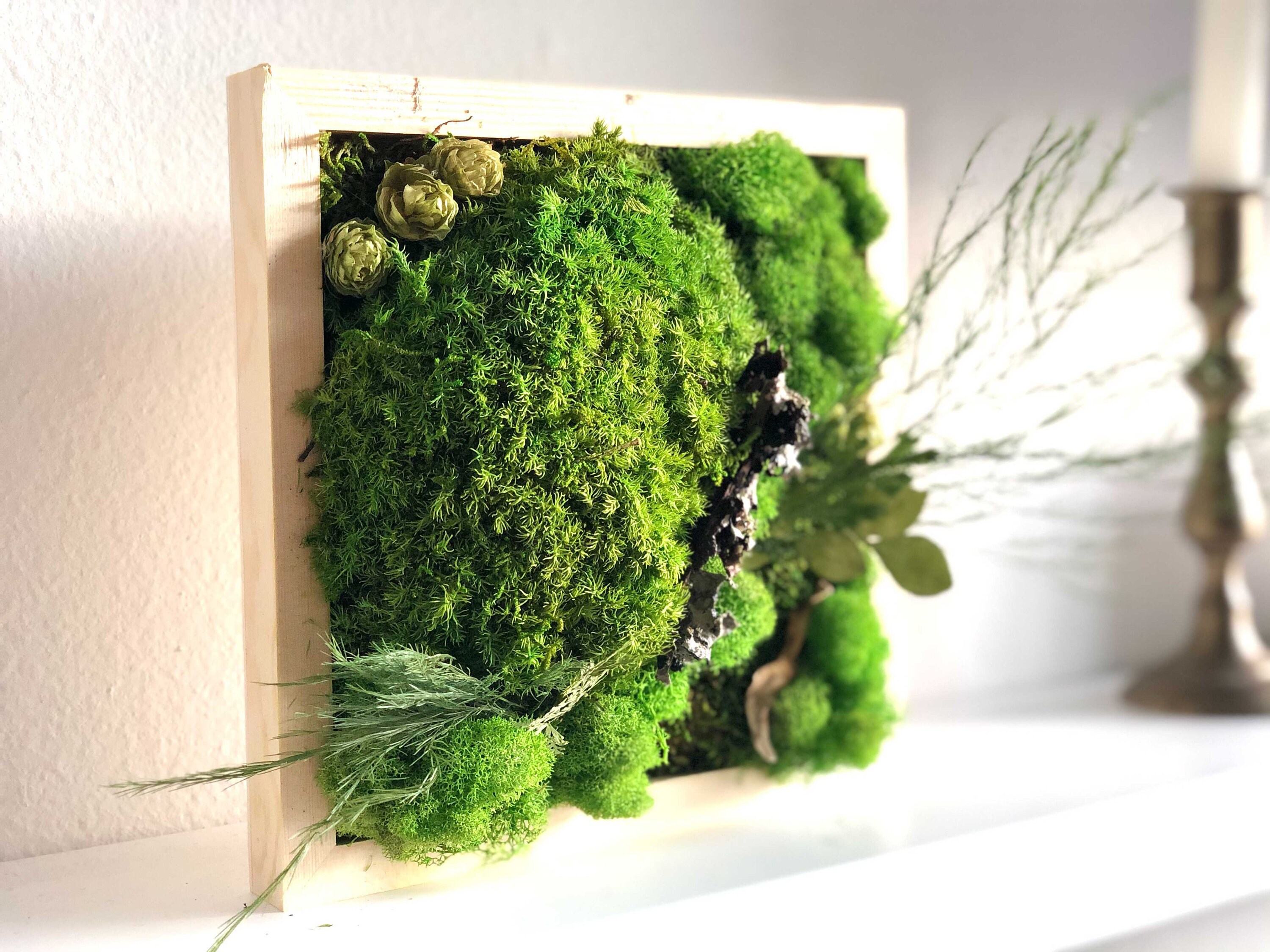 DIY Moss Wall Art Kit Holiday Gift Christmas Gift Make Your Etsy