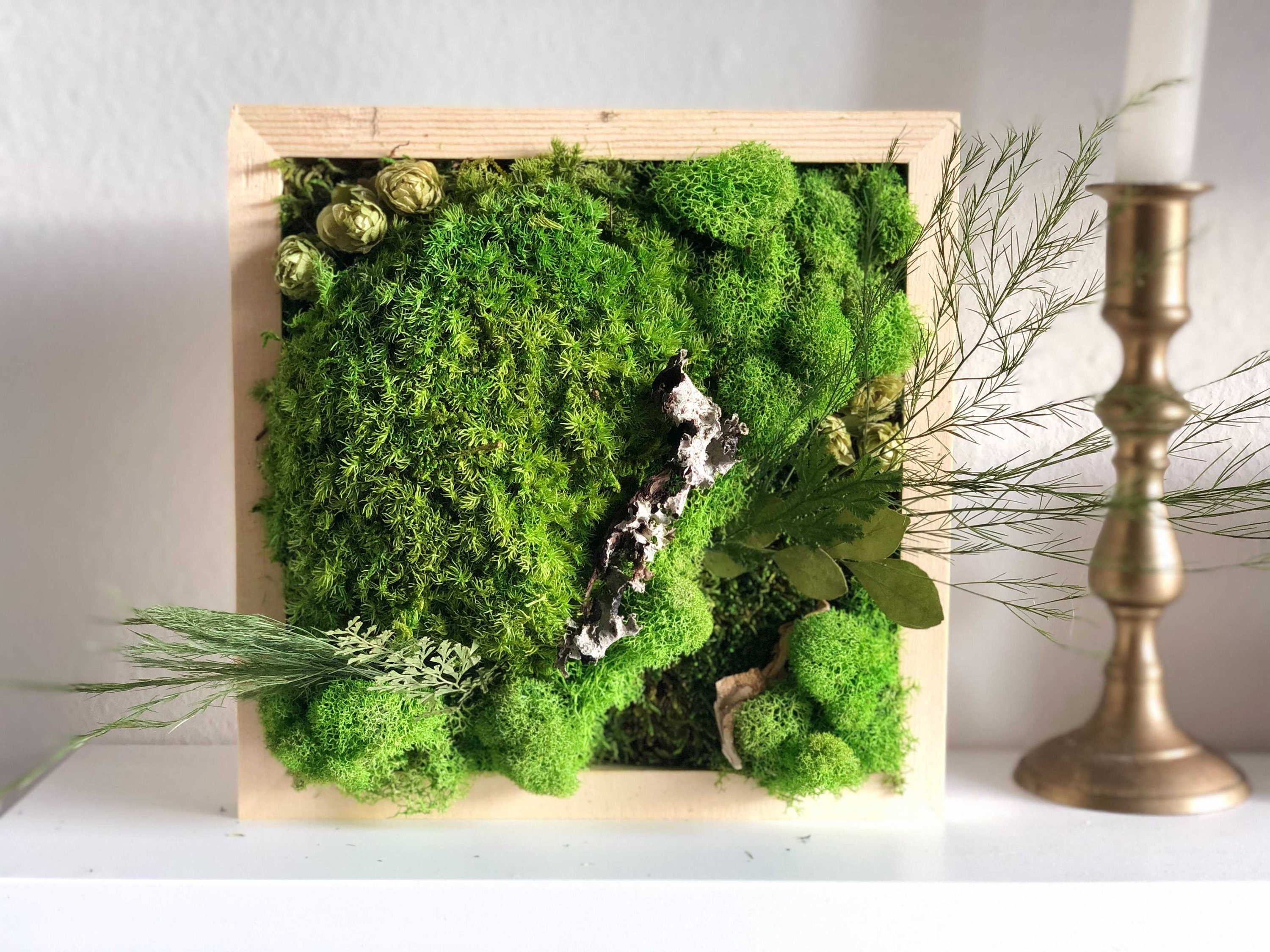 DIY Moss Wall Art Kit Holiday Gift Christmas Gift Make Your Etsy