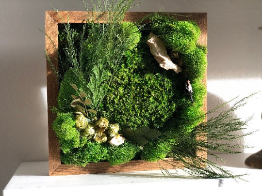 Best Friend Gift, Moss Art for Best Friends, Moss Decoration, Gifts for  every occasion