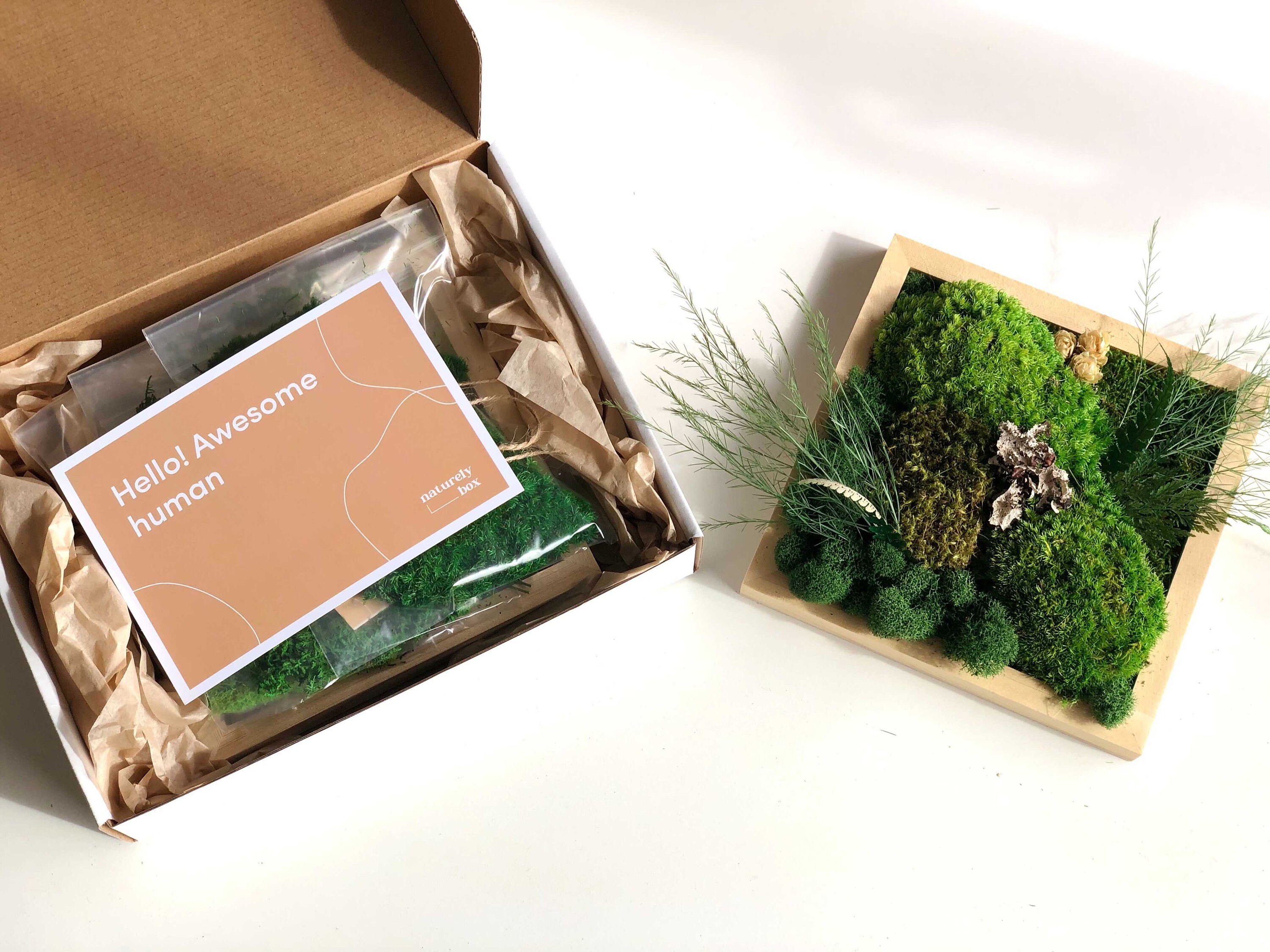 DIY Moss Wall Art Kit Holiday Gift Christmas Gift Make Your Etsy
