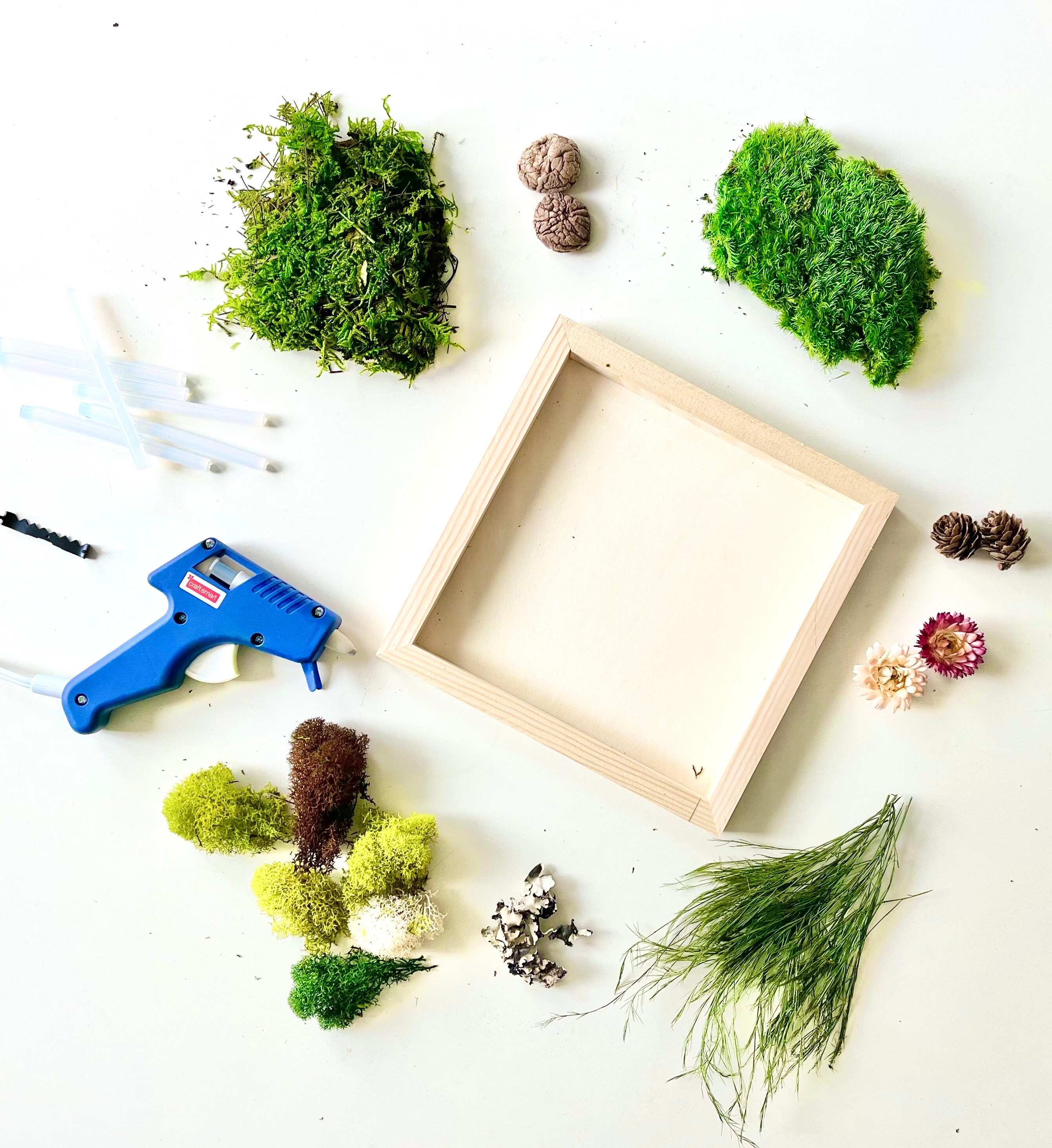 DIY Moss Wall Art Kit Holiday Gift Unique Gift Make Your Etsy