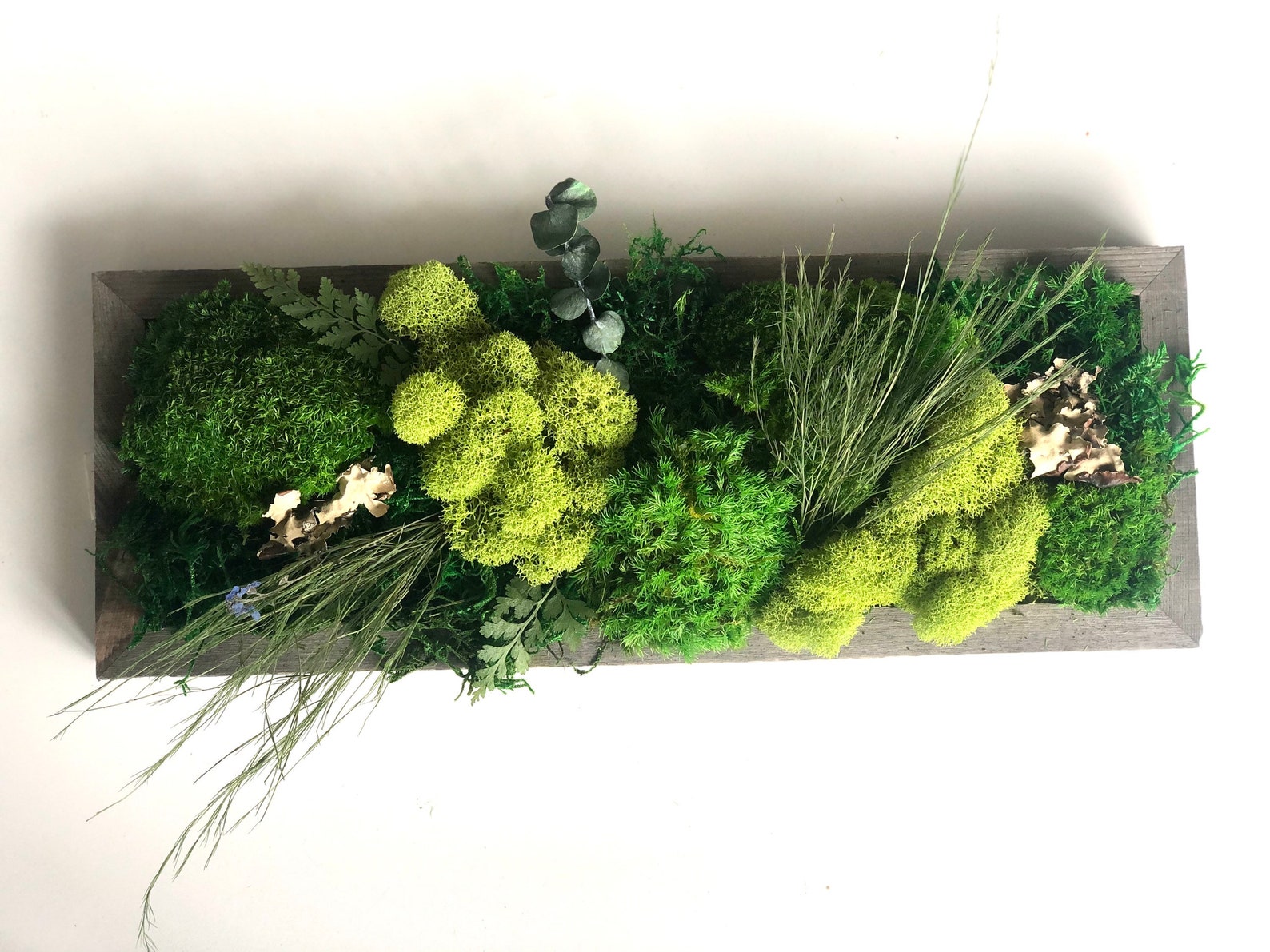 DIY Moss Wall Art Kit Moss Art Frame Perfect Gift Gift Box | Etsy