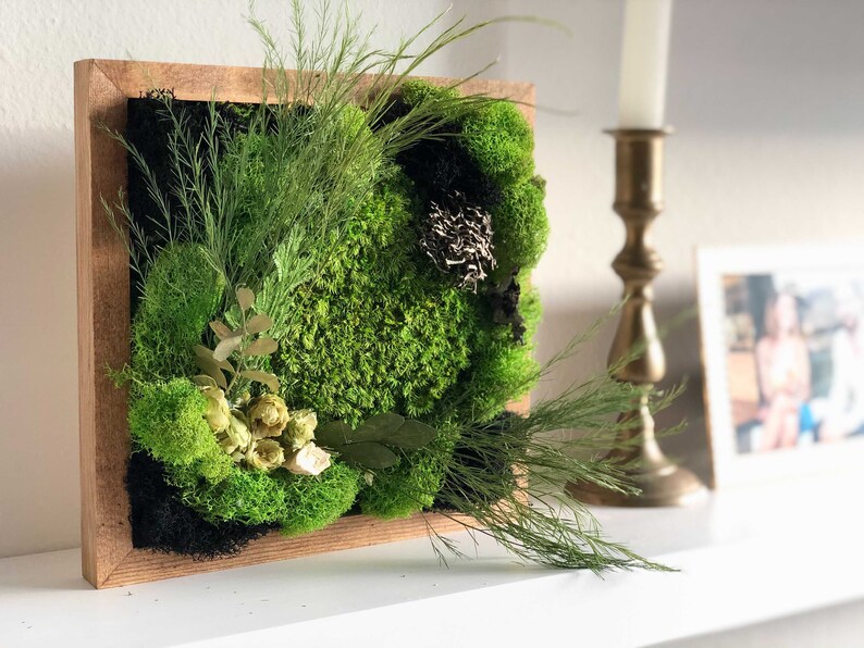 Moss Wall Art Make Your Own Moss Art DIY Terrarium Etsy