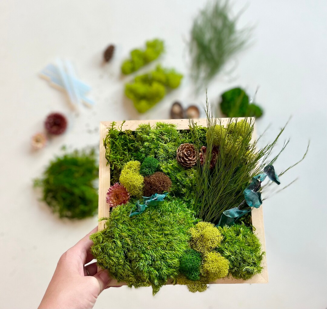 DIY Moss Art Kit, Unique Gift Box, Corporate Gift, Team Building, Make