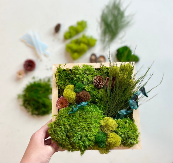 DIY Moss Art Kit, Unique Gift Box, Corporate Gift, Team Building