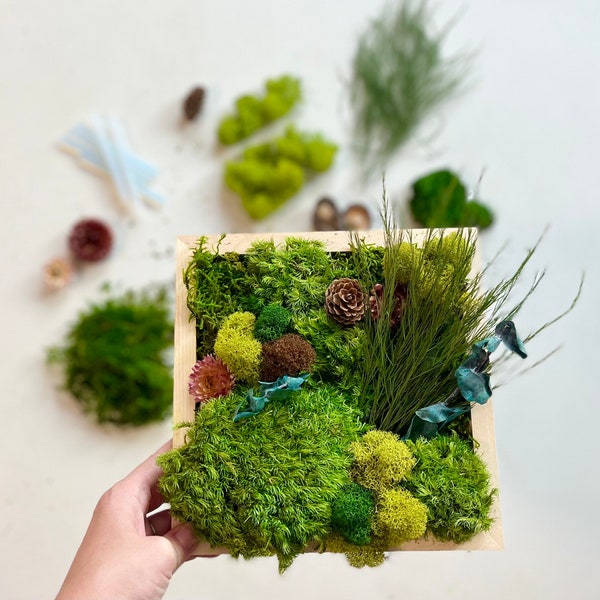 DIY Moss Art Kit, Unique Gift Box, Corporate Gift, Team Building, Make Your Own Moss Art, Preserved Moss Art, Kits For Adults, Birthday Gift