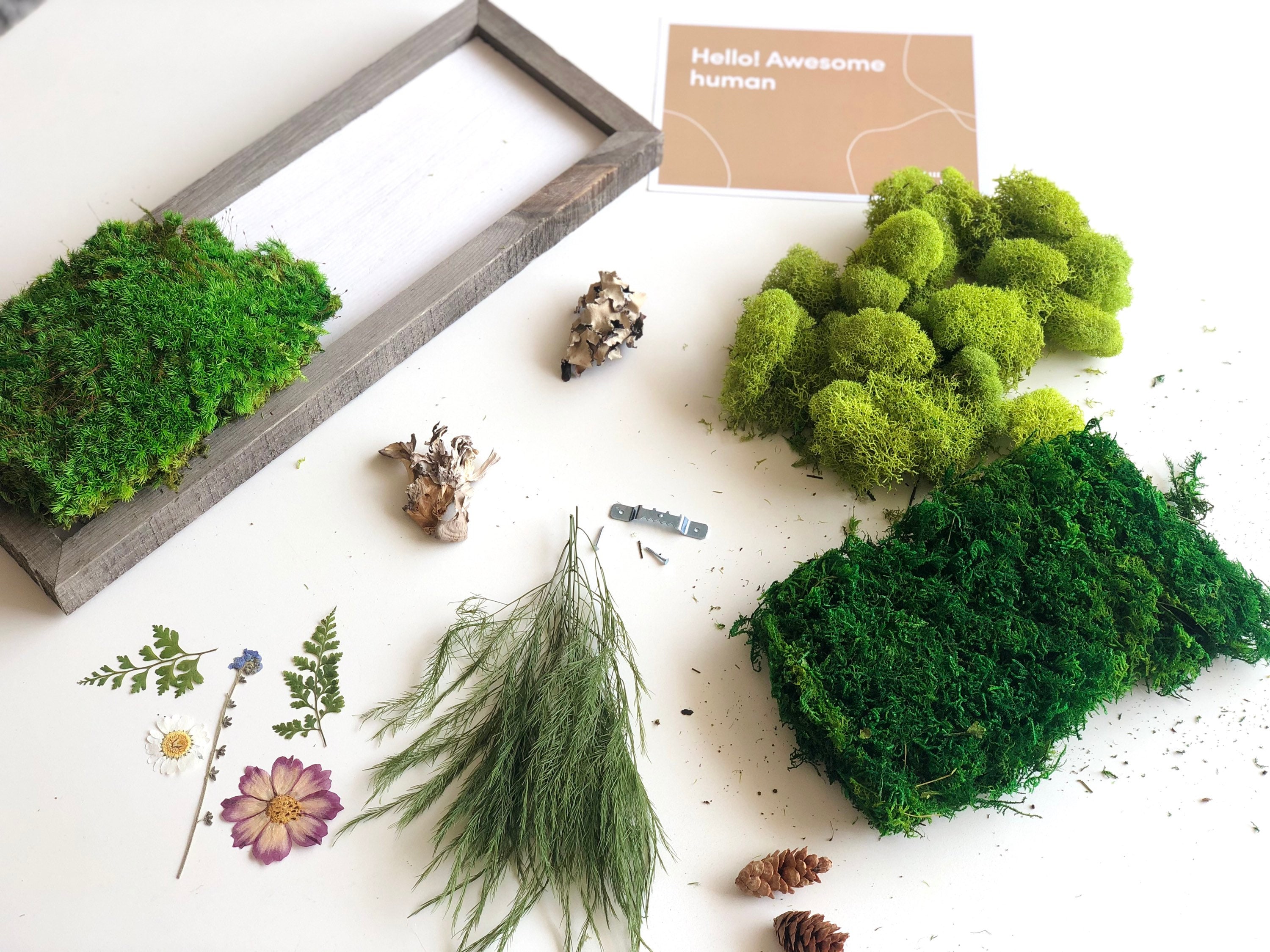 DIY Moss Wall Art Kit Moss Art Frame Perfect Gift Gift Box Etsy