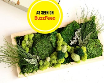 DIY Rectangular Moss Art Kit, Large Moss Art, Vertical Moss Art Kit, Vertical Wall Garden, Birthday Gift, Unique Gift Box, Activity Kit